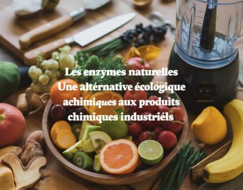 Les enzymes naturelles : une alternative écologique aux produits chimiques industriels