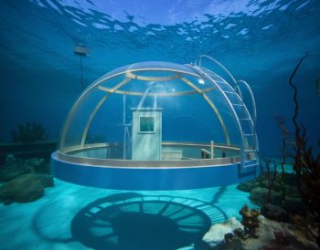 Les habitats artificiels sous-marins : une solution innovante pour la préservation de la biodiversité marine