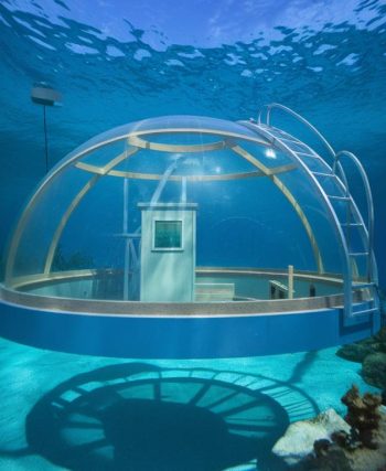 Les habitats artificiels sous-marins : une solution innovante pour la préservation de la biodiversité marine