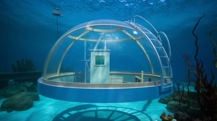 Les habitats artificiels sous-marins : une solution innovante pour la préservation de la biodiversité marine